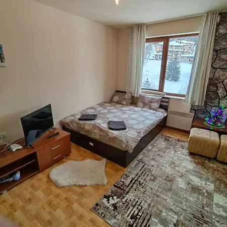 Apartment Love Pamporovo パンポロボ