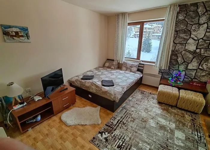 Apartment Love Pamporovo パンポロボ